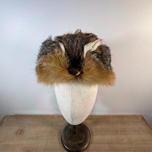 Peut inclure: Un chapeau en fourrure animale présentant un mélange de tons marron, beige, gris et blanc. La fourrure est disposée selon un motif dense et texturé avec des poils longs et fins s'étendant sur les côtés et le dessus, créant une forme arrondie.