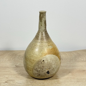 May include: A ceramic vase with a narrow neck and a bulbous body, featuring a speckled beige and tan glaze with subtle brown and orange color variations. The surface has a textured appearance with visible clay flecks and a smooth, glossy finish.
