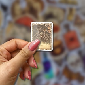 May include: A rectangular sticker featuring a sepia-toned illustration of a spider within a decorative border. The spider is the central focus, with intricate details. The sticker has a vintage aesthetic, suggesting a theme of Halloween or the occult.