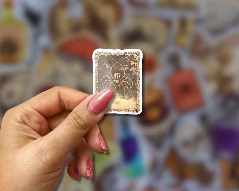 May include: A rectangular sticker featuring a sepia-toned illustration of a spider within a decorative border. The spider is the central focus, with intricate details. The sticker has a vintage aesthetic, suggesting a theme of Halloween or the occult.