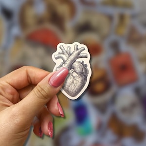 May include: A sticker featuring a detailed, grayscale illustration of a human heart. The anatomical drawing shows the heart's chambers and vessels. The sticker has a white border and is held by a hand with pink nail polish.
