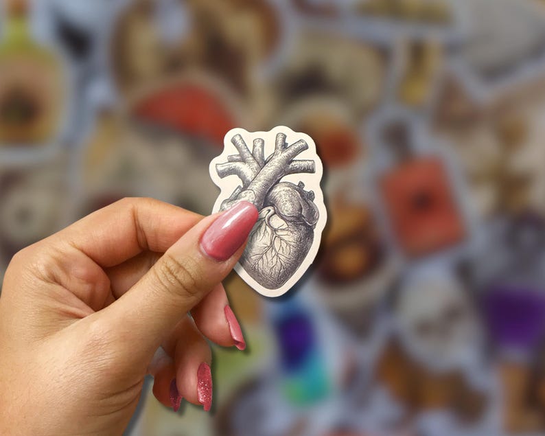 May include: A sticker featuring a detailed, grayscale illustration of a human heart. The anatomical drawing shows the heart's chambers and vessels. The sticker has a white border and is held by a hand with pink nail polish.