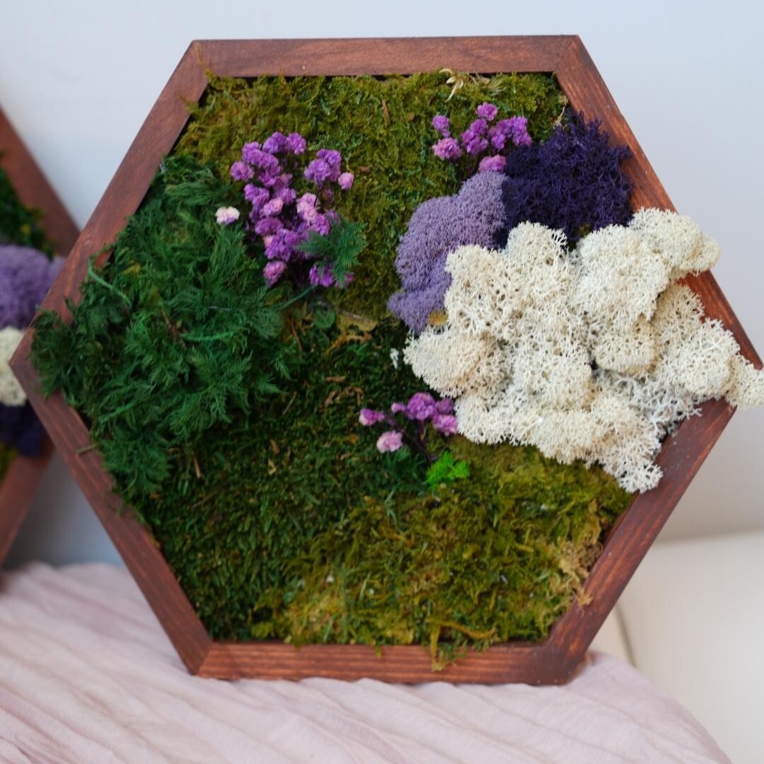 Hexagon Moss Wall Decor | Handmade Wood | Preserved Moss Framed Art ...