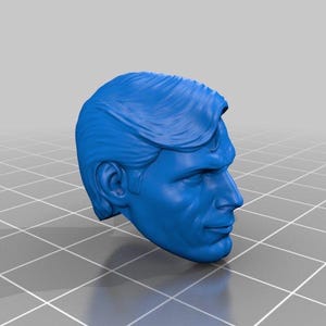 Christopher Reeve head