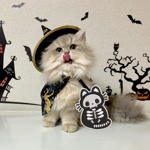 Black Halloween Cat Embroidered Iron On Patch, Spooky Halloween Cat Patch, Sew on, Velcro Embroidered Patch For Bag, Gift For Spooky Season
