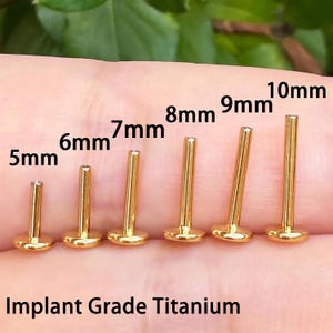 Gold Threadless Implant Grade Titanium Replacement Post | Push Pin Back, Flat Back | Helix/Conch/Tragus/Nose Stud/16G/18G/20G | 5–10 mm