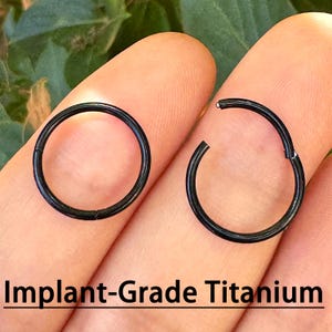 May include: Two black, circular, hinged hoop earrings. One is closed, and the other is open, showing the hinge. The text "Implant-Grade Titanium" is displayed below the earrings.