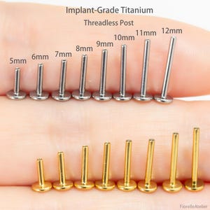 16G 18G 20G vervangingsstift van titaniumimplantaatkwaliteit zonder schroefdraad | Drukspeld achterkant, platte achterkant | Spiraal/schelp/tragus/neusknop/zilver/goud 5-12 mm