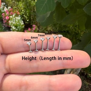May include: A collection of silver-colored labret studs with clear, round gemstones. The studs vary in length from 5mm to 10mm, as indicated by the text "Height (Length in mm)". The background is a blurred view of green foliage.