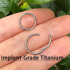 May include: Two silver-coloured, circular hoop earrings. One is closed, and the other is open, showing the clasp. The text "Implant-Grade Titanium" is printed in black at the bottom of the image.