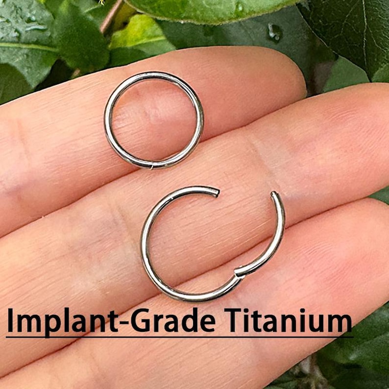 May include: Two silver-coloured, circular hoop earrings. One is closed, and the other is open, showing the clasp. The text "Implant-Grade Titanium" is printed in black at the bottom of the image.