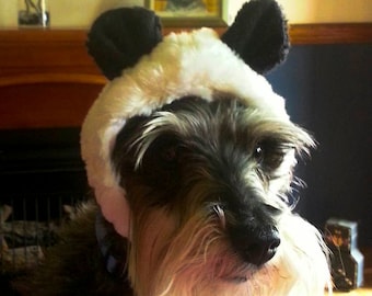 Pet Dog Bear hat or Panda Hat