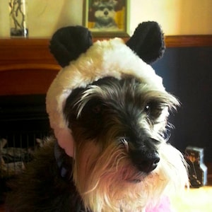 May include: A small, gray and white dog wearing a white panda costume with black ears. The dog is sitting on a pink blanket.
