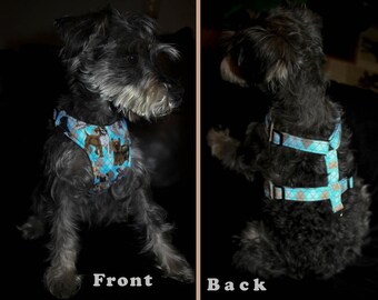 house divided dog collar