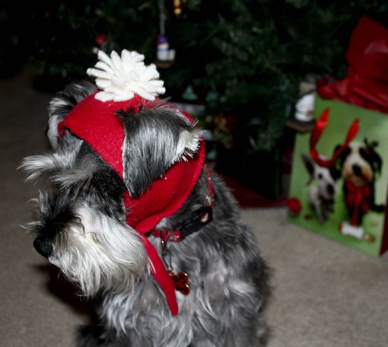 toboggan skullcap winter dog hat Warm dog hat dog winter wear Solid Color dog Toboggan