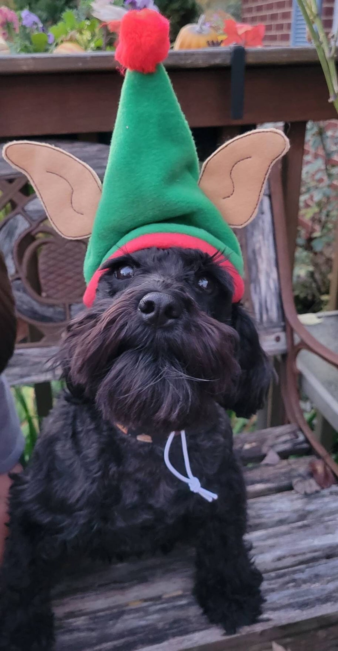 Pet Elf Hat Dog Elf Hat Cat Elf Hat Xsmall Small Large Elf Helper Hat
