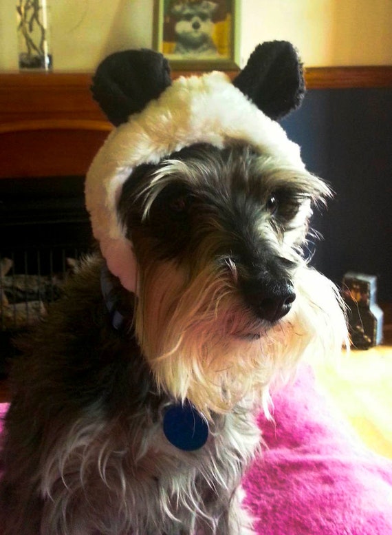 Pet Dog Bear hat or Panda Hat