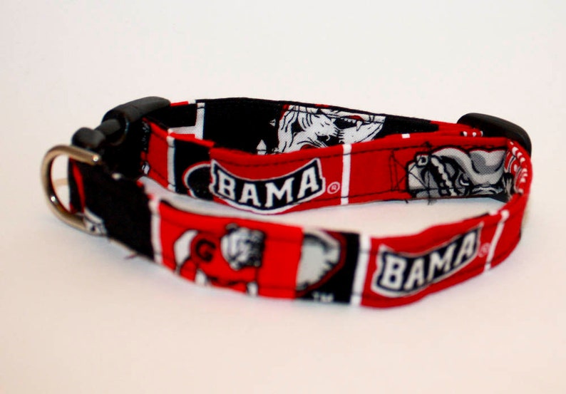 House Divided Collar Medium 5/8wide Etsy