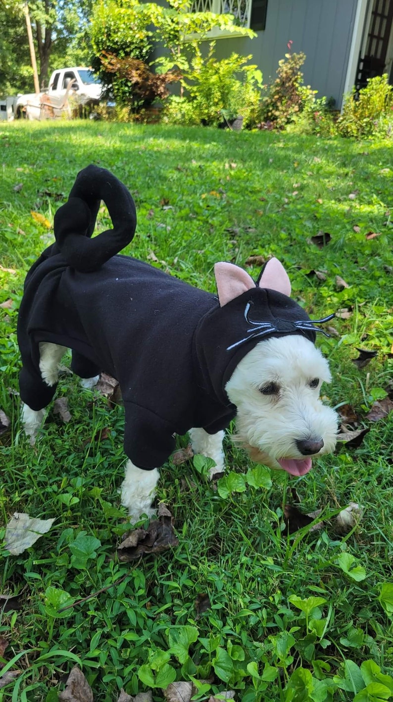 May include: A white dog wearing a black cat costume with a curled tail and cat ears. The dog is standing on green grass with brown leaves.