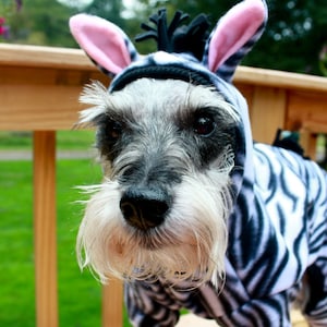 May include: A small, white and gray dog wearing a zebra-print costume with pink ears. The dog is sitting on a wooden deck with green grass in the background.