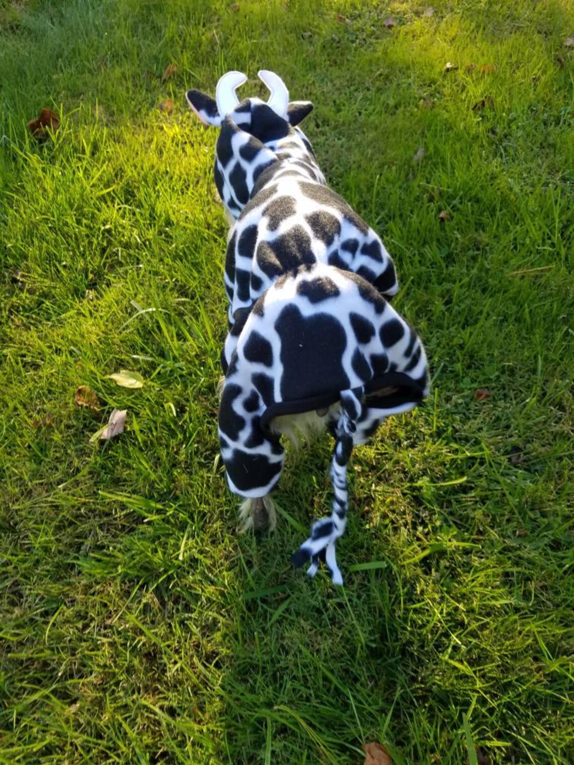 Dog cow Costume Pet cow Costume Halloween cow bull costume Etsy