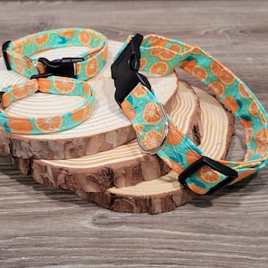 Orange Dog Collar | Cute colorful spring fruit dog collar | Orange Slices Dog Collar | Orange Fruit Dog Collar | Summer Fruit Dog Collar