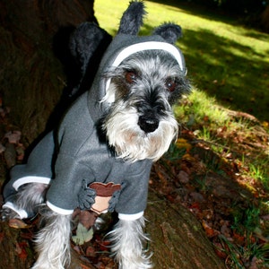 Dog Squirrel Costume Squirrel Dog Costume Dog Halloween Costume Squirrel Dog Pajama Pet Squirrel Halloween Costume image 3