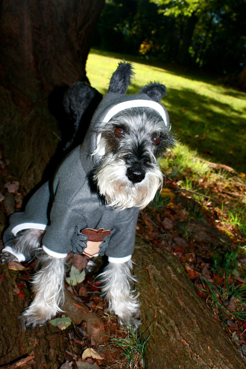 Dog Squirrel Costume Squirrel Dog Costume Dog Halloween Costume Squirrel Dog Pajama Pet Squirrel Halloween Costume image 3