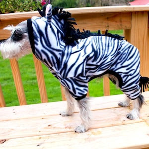 May include: A small, white dog wearing a black and white zebra costume. The dog is standing on a wooden deck with green grass in the background.