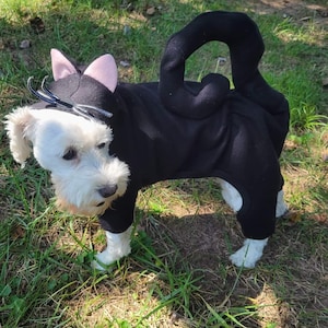 May include: A small white dog wearing a black cat costume with pink ears and a black tail. The dog is standing on green grass.