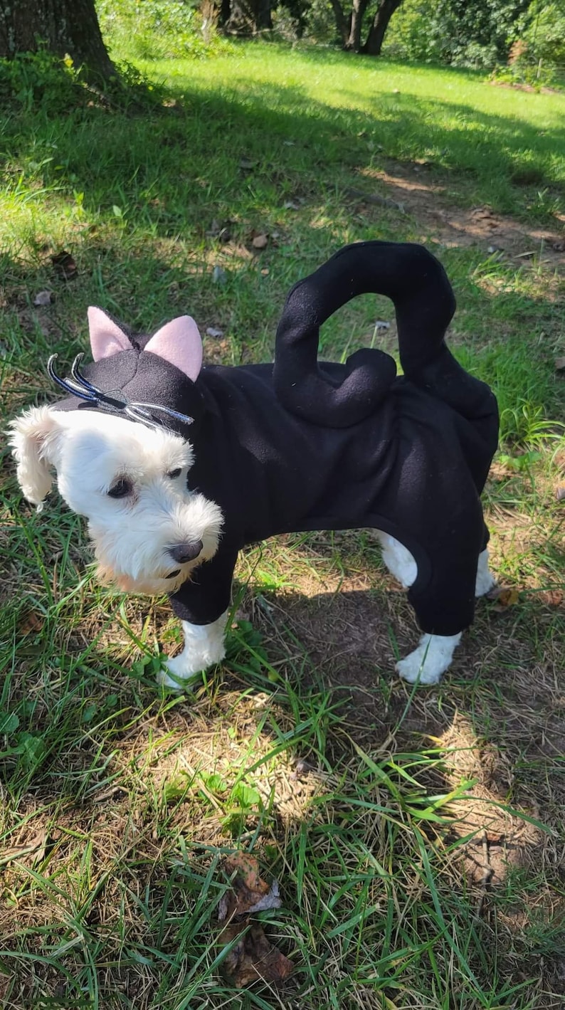 May include: A small white dog wearing a black cat costume with pink ears and a black tail. The dog is standing on green grass.