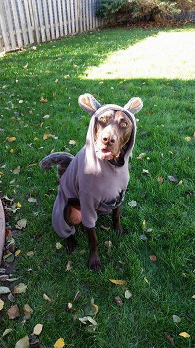 Dog Squirrel Costume Squirrel Dog Costume Dog Halloween Costume Squirrel Dog Pajama Pet Squirrel Halloween Costume image 7