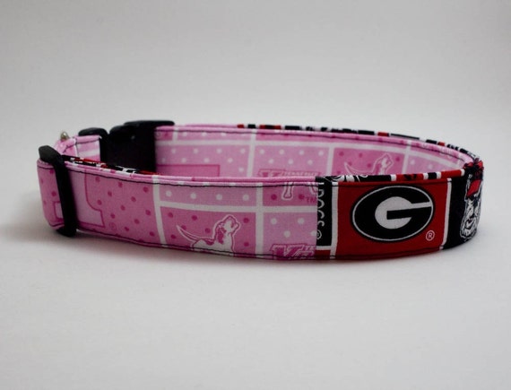 House divided top dog collar