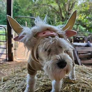 Highlands Cow Dog Costume, Pet Cow Costume Halloween Fluffy Floofy Cow ...