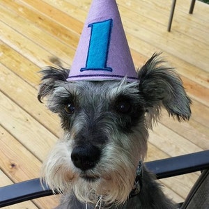 Pet Dog Birthday Party Hat