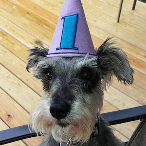 Pet Dog Birthday Party Hat