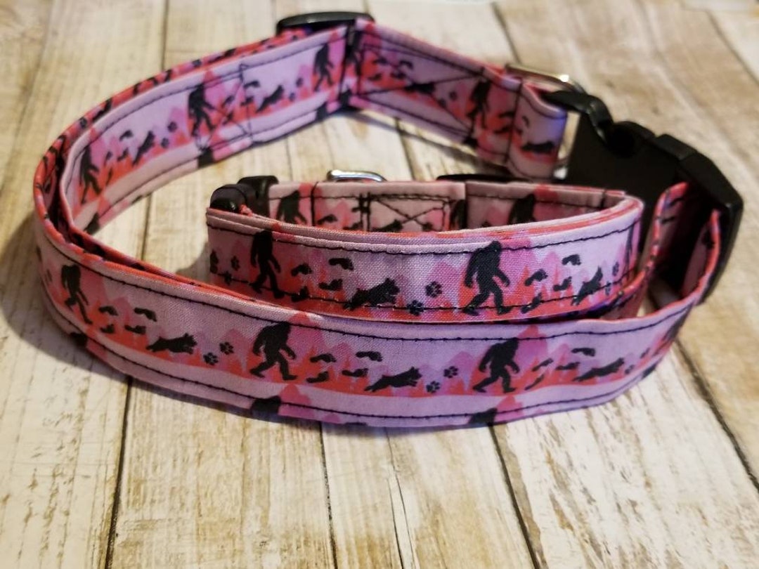Bigfoot Dog Collar Girl Bigfoot Dog Collar Pink Bigfoot Etsy
