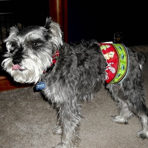 Dog Belly Band Male pee pee wrap closeout special