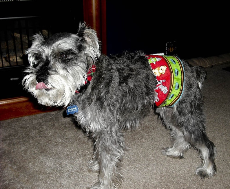 Dog Belly Band Male Pee Pee Wrap Etsy