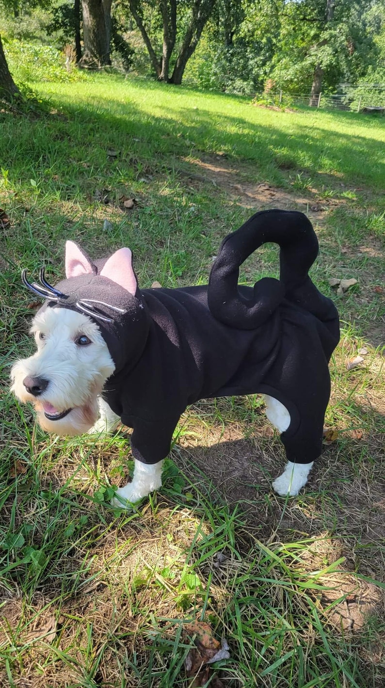 May include: A white dog wearing a black cat costume with pink ears and a curled tail. The dog is standing on green grass.