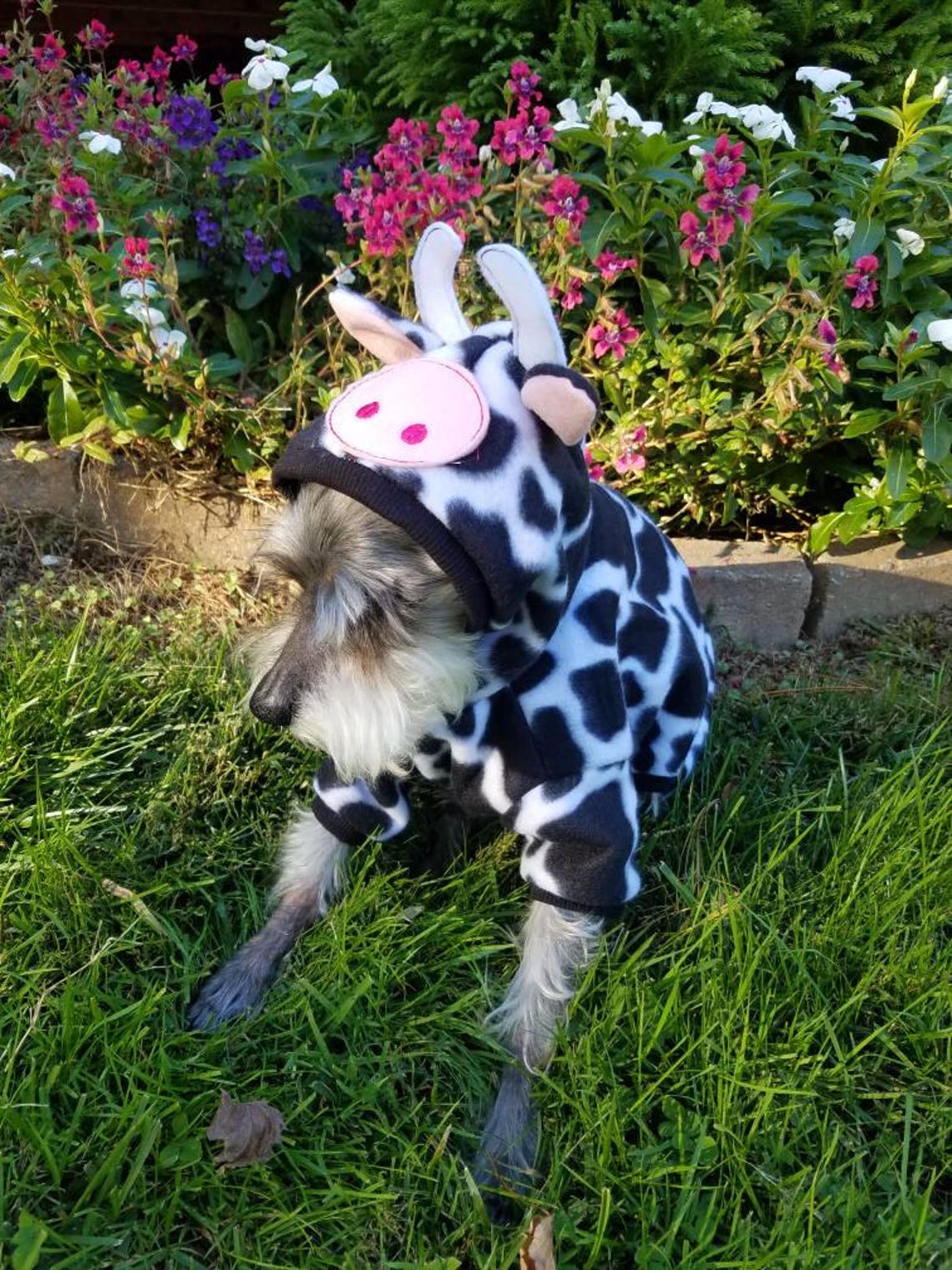 Dog cow Costume Pet cow Costume Halloween cow bull costume Etsy