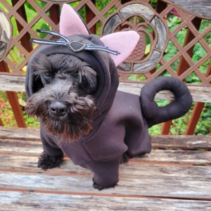 May include: A small black dog wearing a black cat costume with pink ears and a black felt cat face. The dog is sitting on a wooden bench.