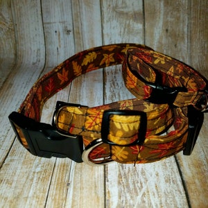 Fall Leaf Dog Collar | Autumn Dog Collar | Fall Dog Collar | Call Cat Collar | Thanksgiving Dog Collar | Pretty Fall Leaves Dog Collar