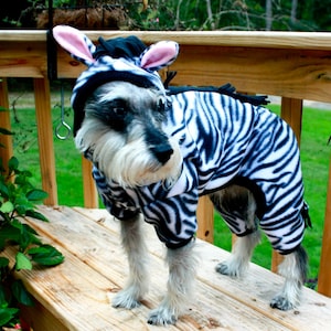 May include: A small, white and black dog wearing a zebra costume. The dog is standing on a wooden deck with a green grassy area in the background.