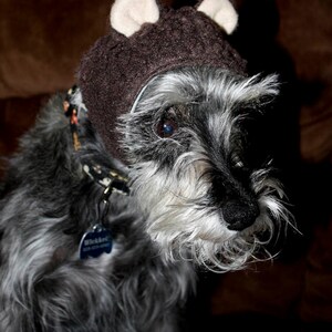 Pet Dog Bear hat or Panda Hat image 2