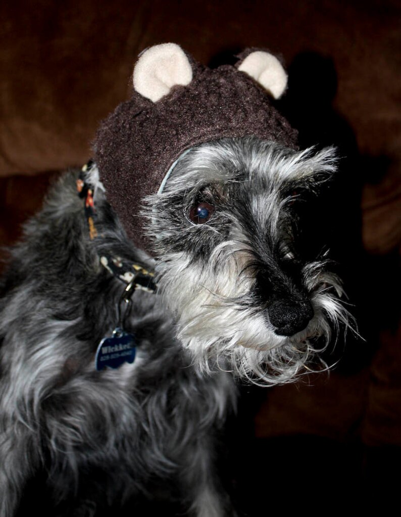 Pet Dog Bear hat or Panda Hat image 2
