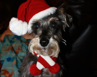 Dog Santa Hat, Cat Santa Hat, Pet Santa Christmas Hat, Holiday Santa Claus Hat, Xsmall, Small Medium, large Santa Hat, Christmas Scarf  Hat