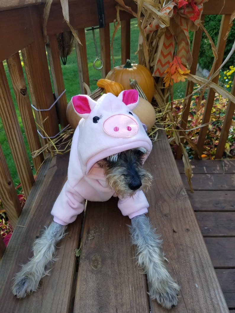 Dog Pig Costume Pet Pig Costume Halloween Pig costume image 1