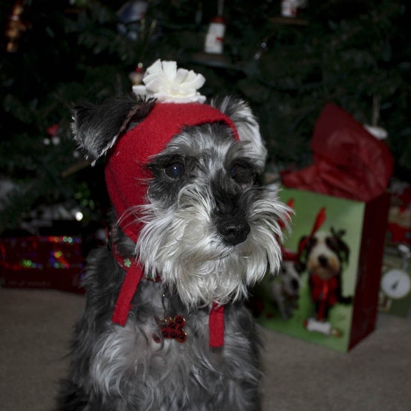 Warm dog hat, toboggan, skullcap, Solid Color dog Toboggan, winter dog hat, dog winter wear, dog beanie