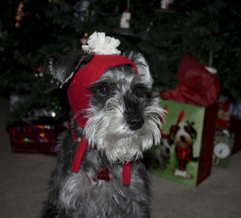 toboggan skullcap winter dog hat Warm dog hat dog winter wear Solid Color dog Toboggan